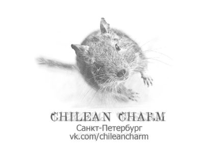 Chilean Charm