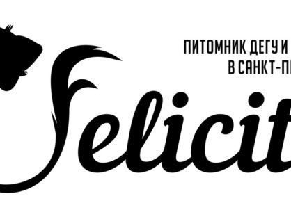 Felicita di vento