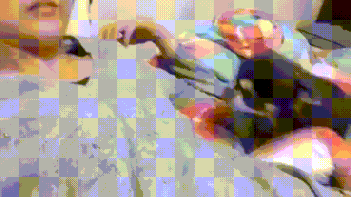 7.gif