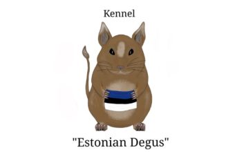 Estonian Degus