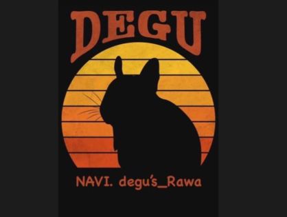 NAVI. degu’s_Rawa