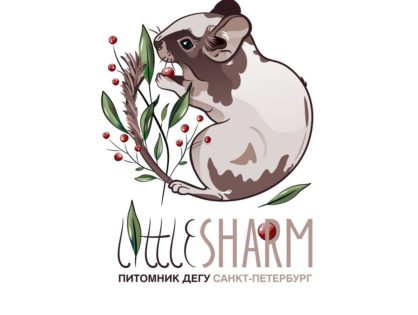 Little Sharm